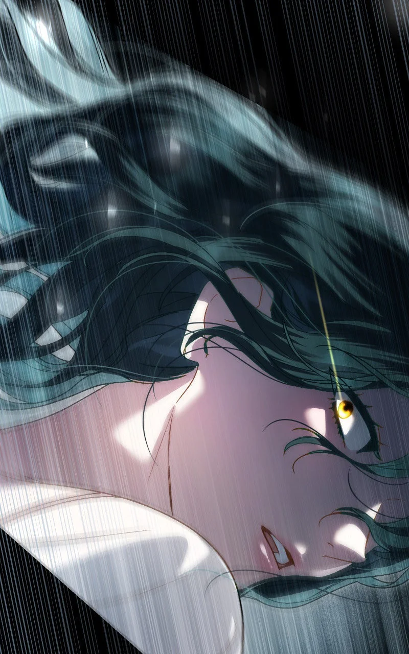 Chapter Image 778