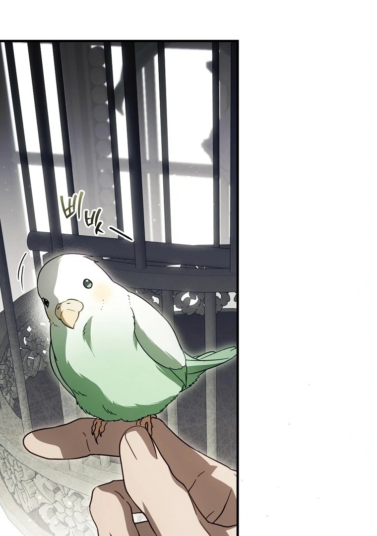 Chapter Image 112