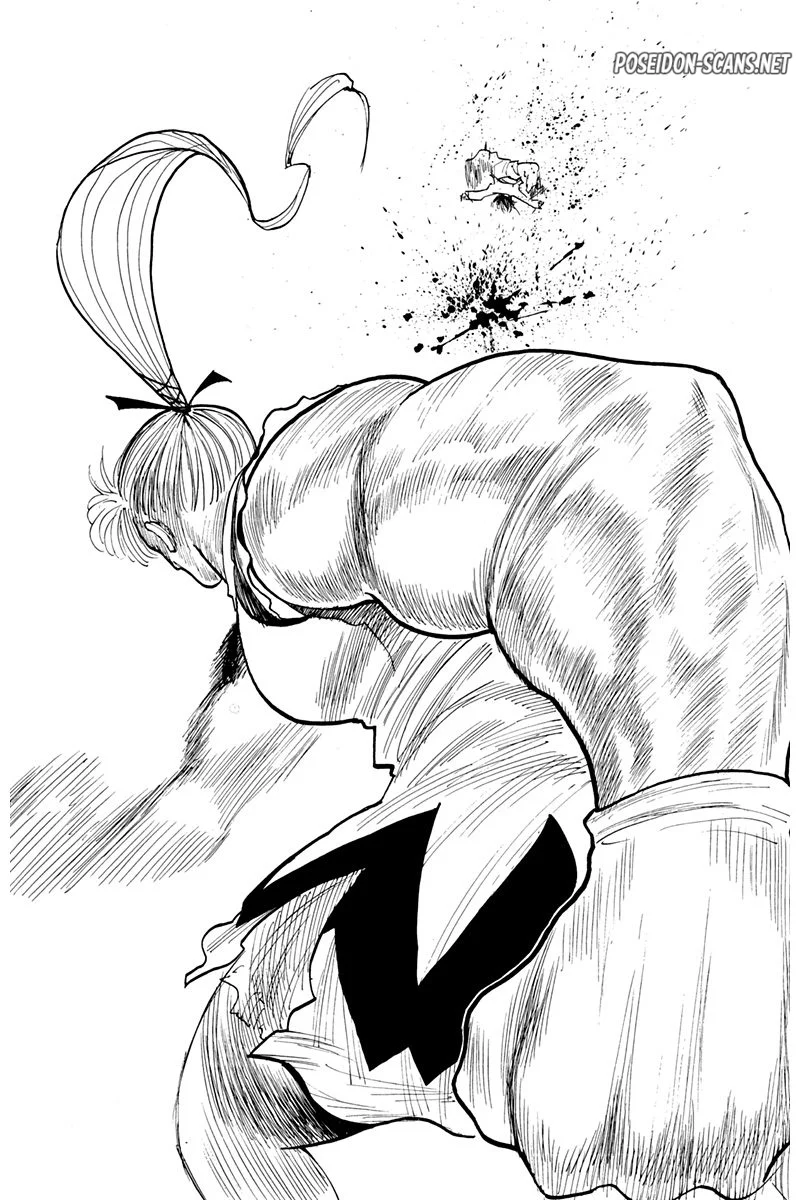 Chapter Image 223