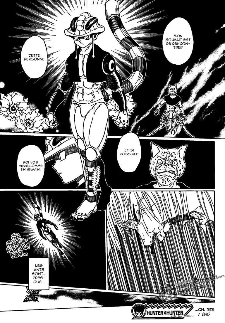 Chapter Image 482