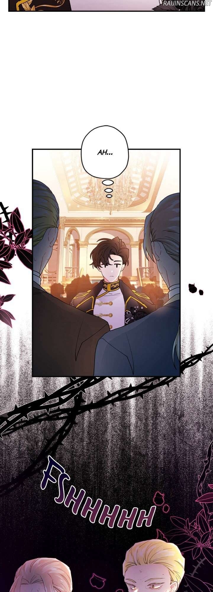 Chapter Image 704
