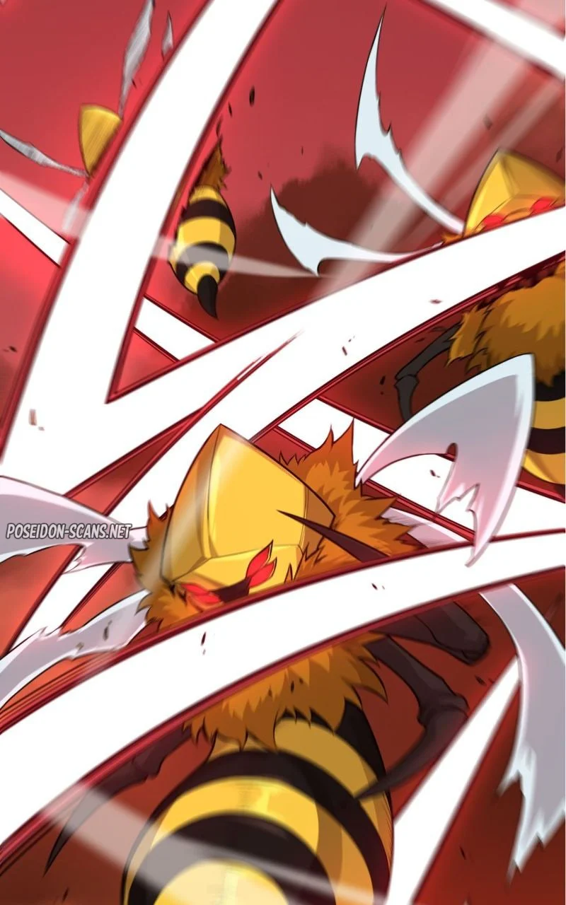 Chapter Image 704