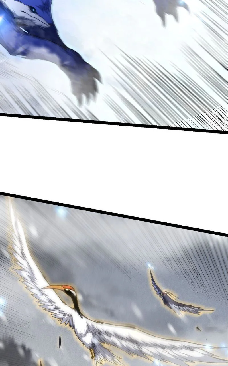 Chapter Image 186
