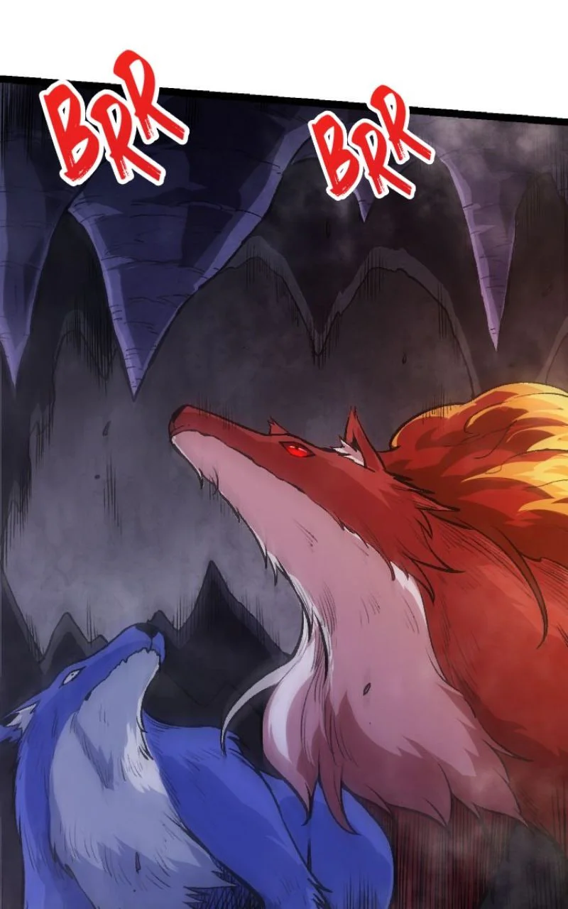 Chapter Image 260
