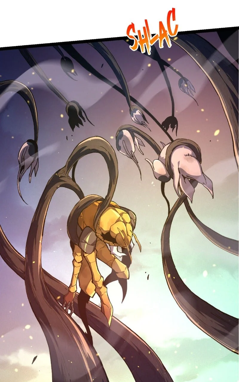 Chapter Image 519