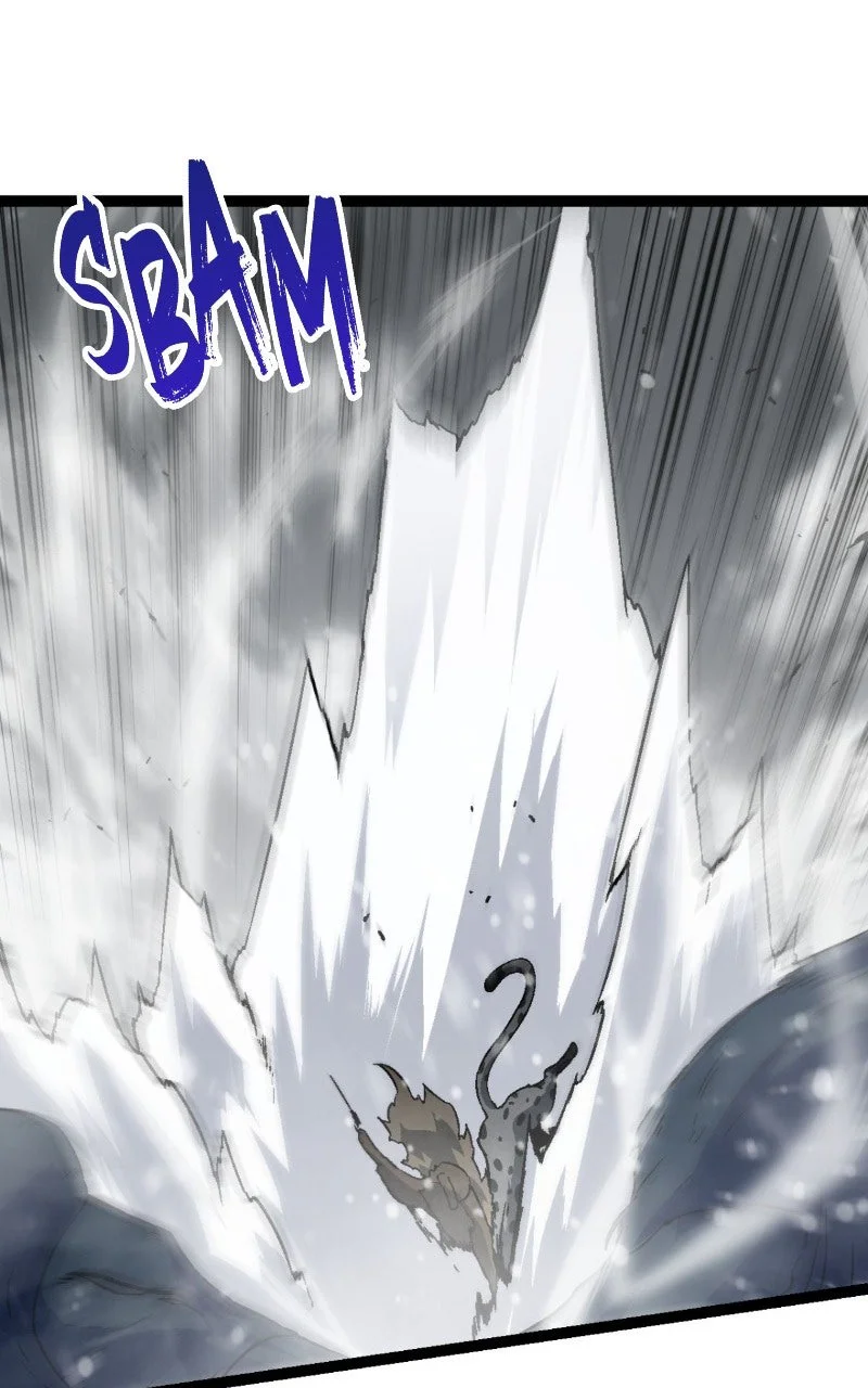 Chapter Image 260