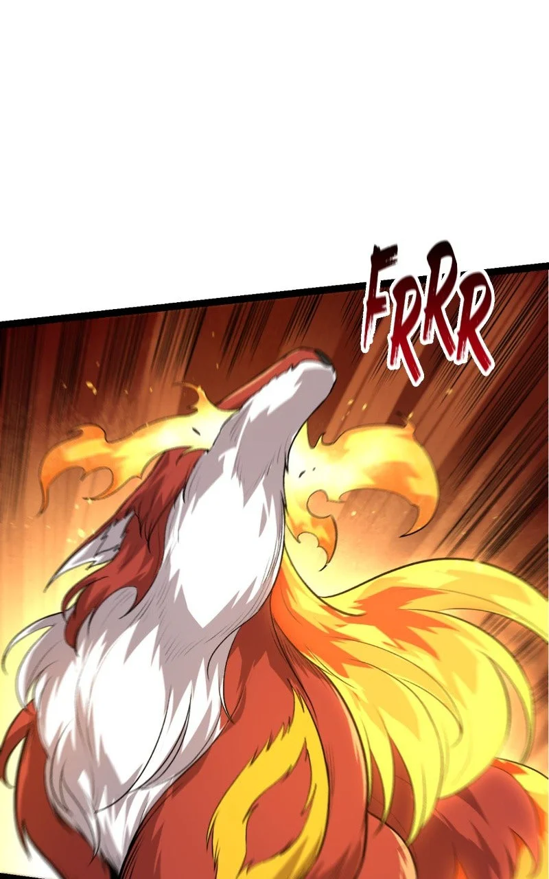 Chapter Image 149