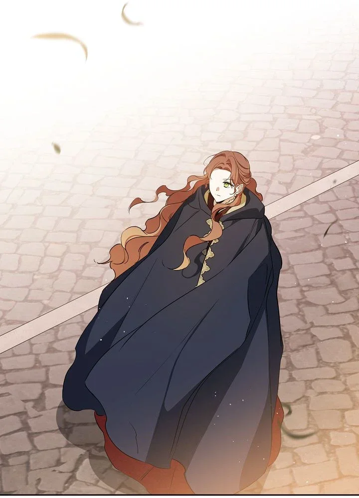 Chapter Image 741