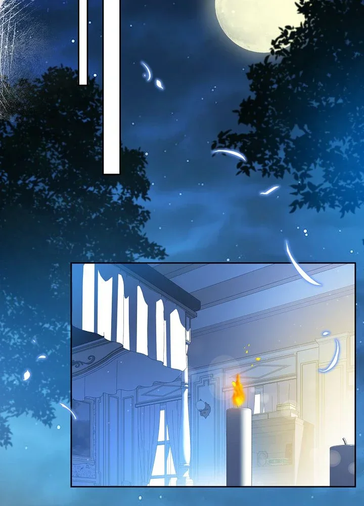 Chapter Image 371