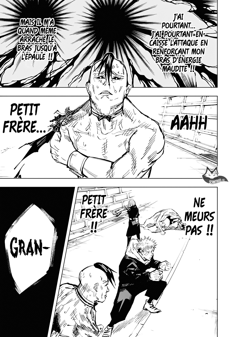 Chapter Image 519