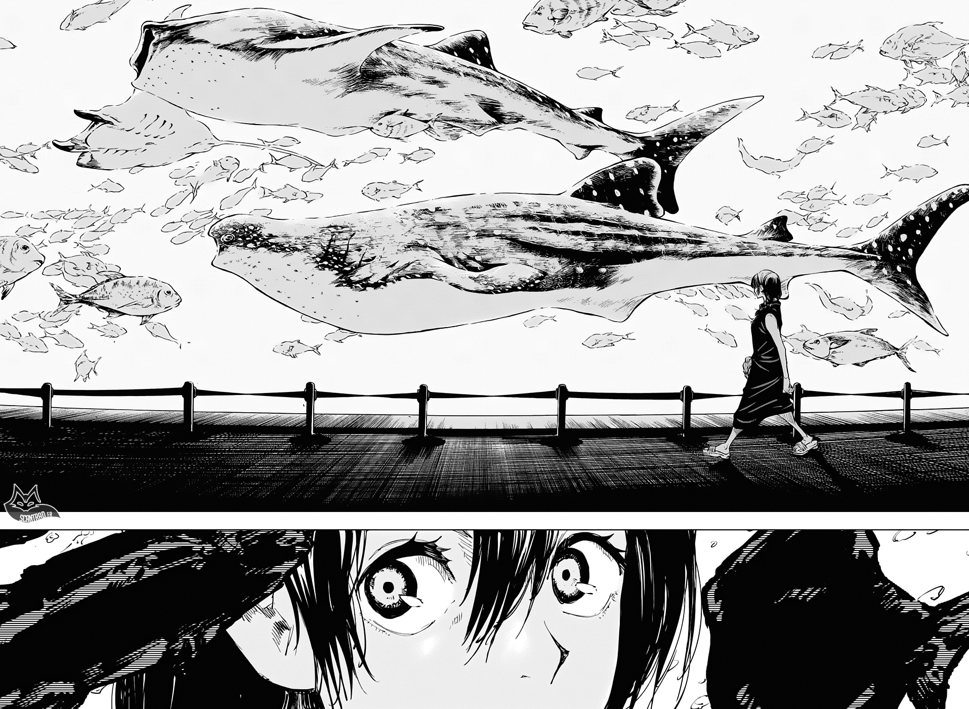 Chapter Image 519