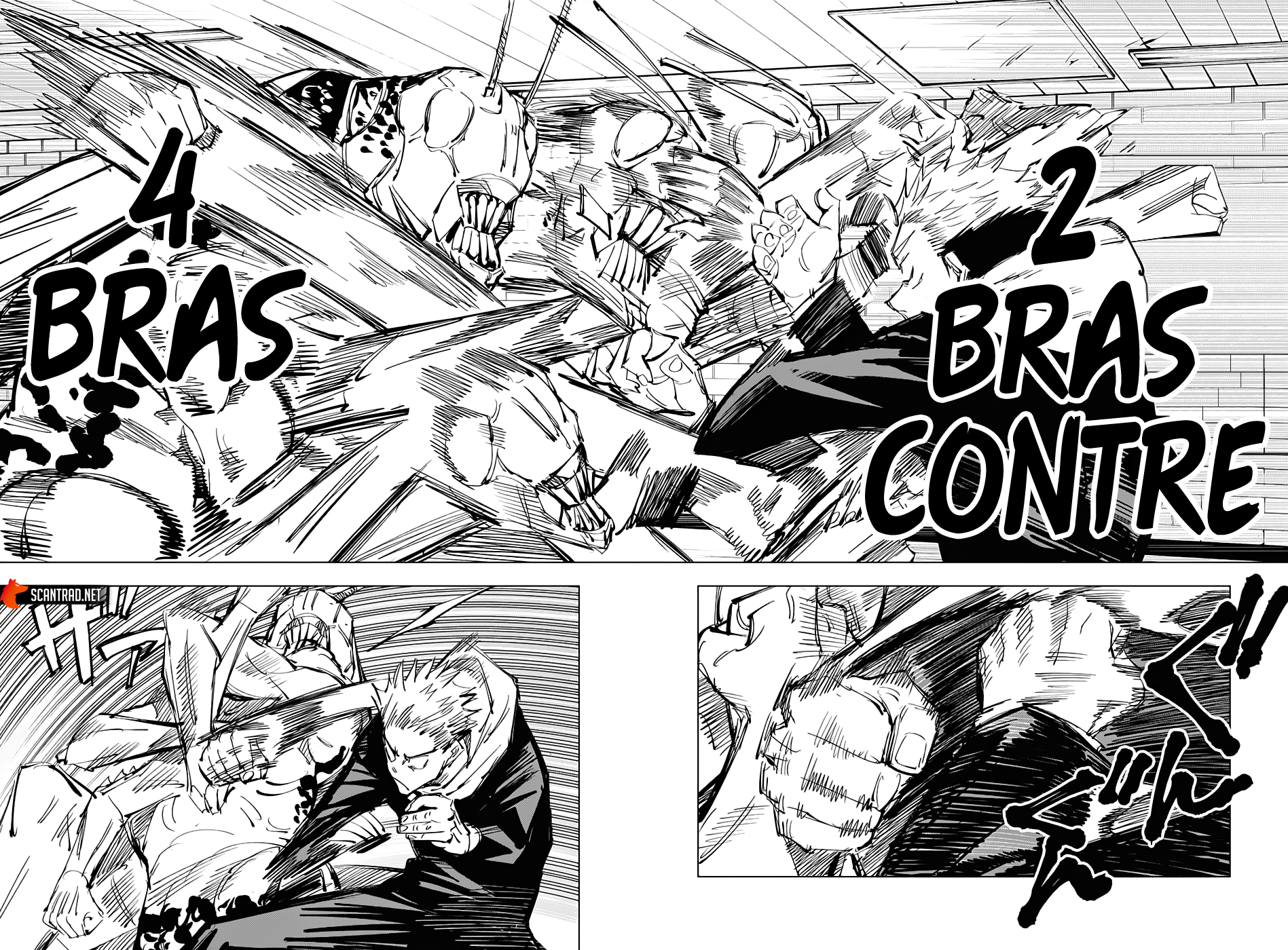 Chapter Image 260