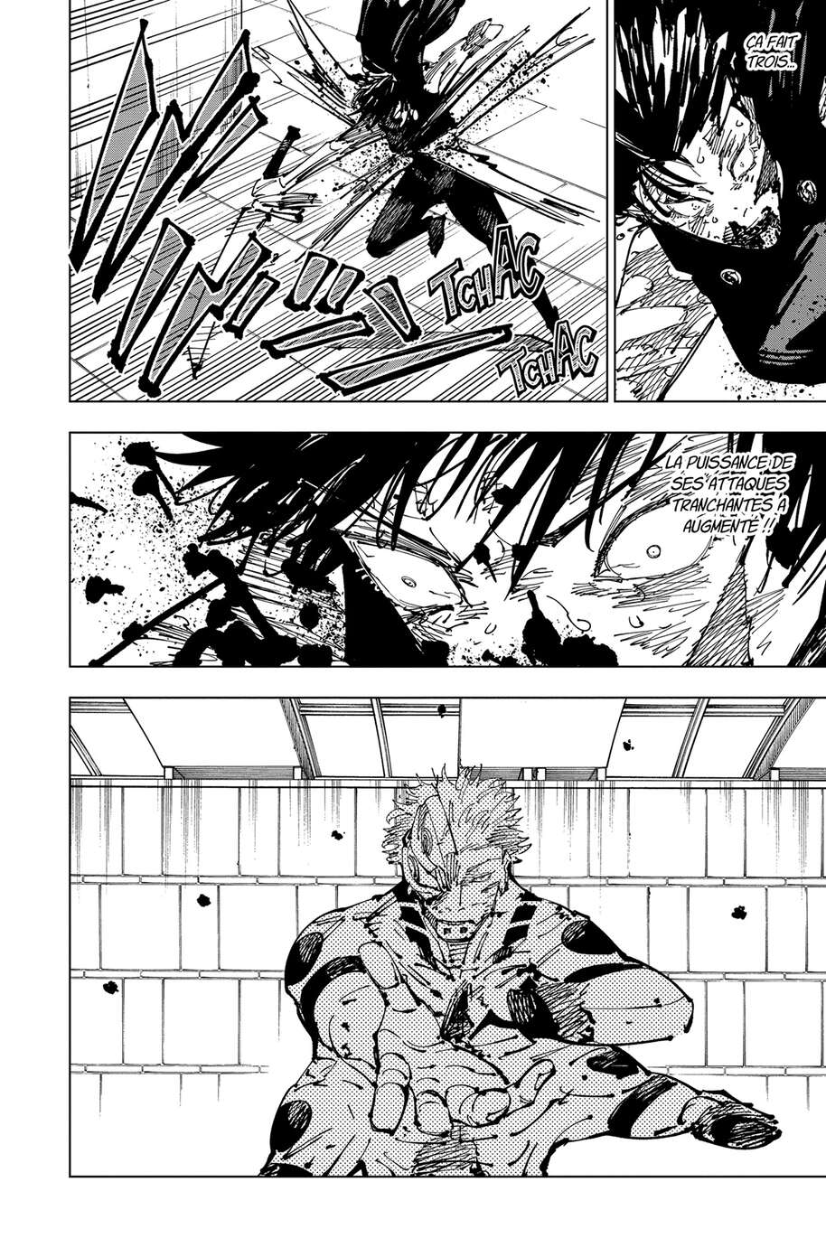 Chapter Image 260