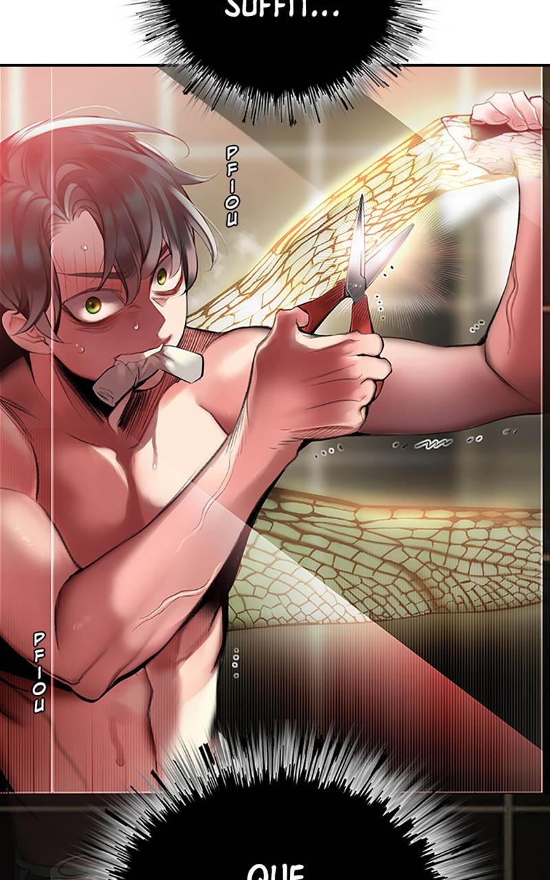 Chapter Image 741