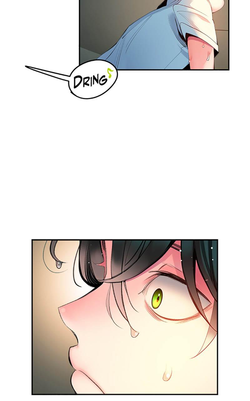 Chapter Image 1