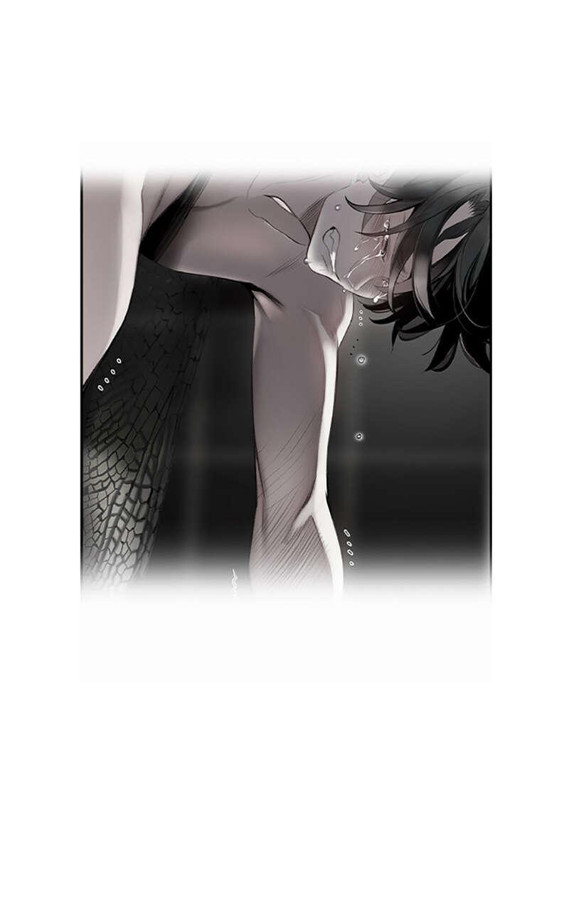 Chapter Image 38