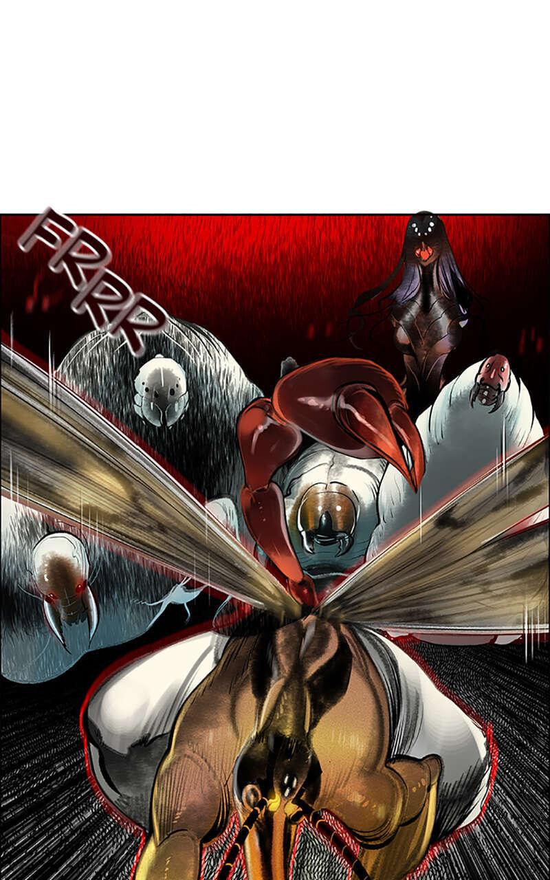 Chapter Image 1