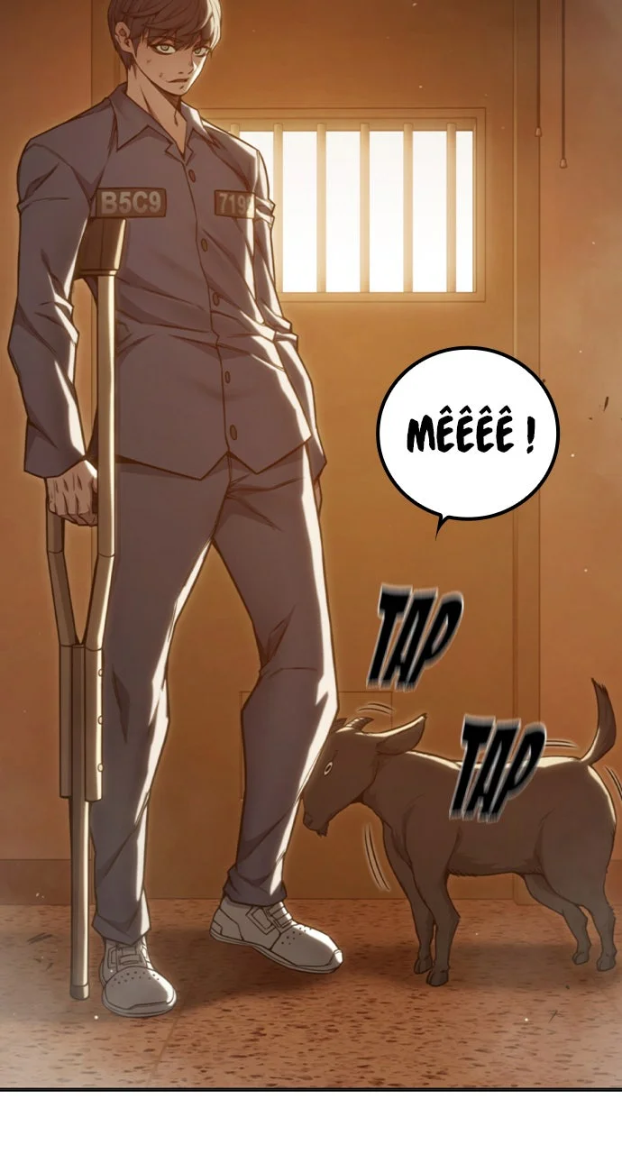 Chapter Image 778
