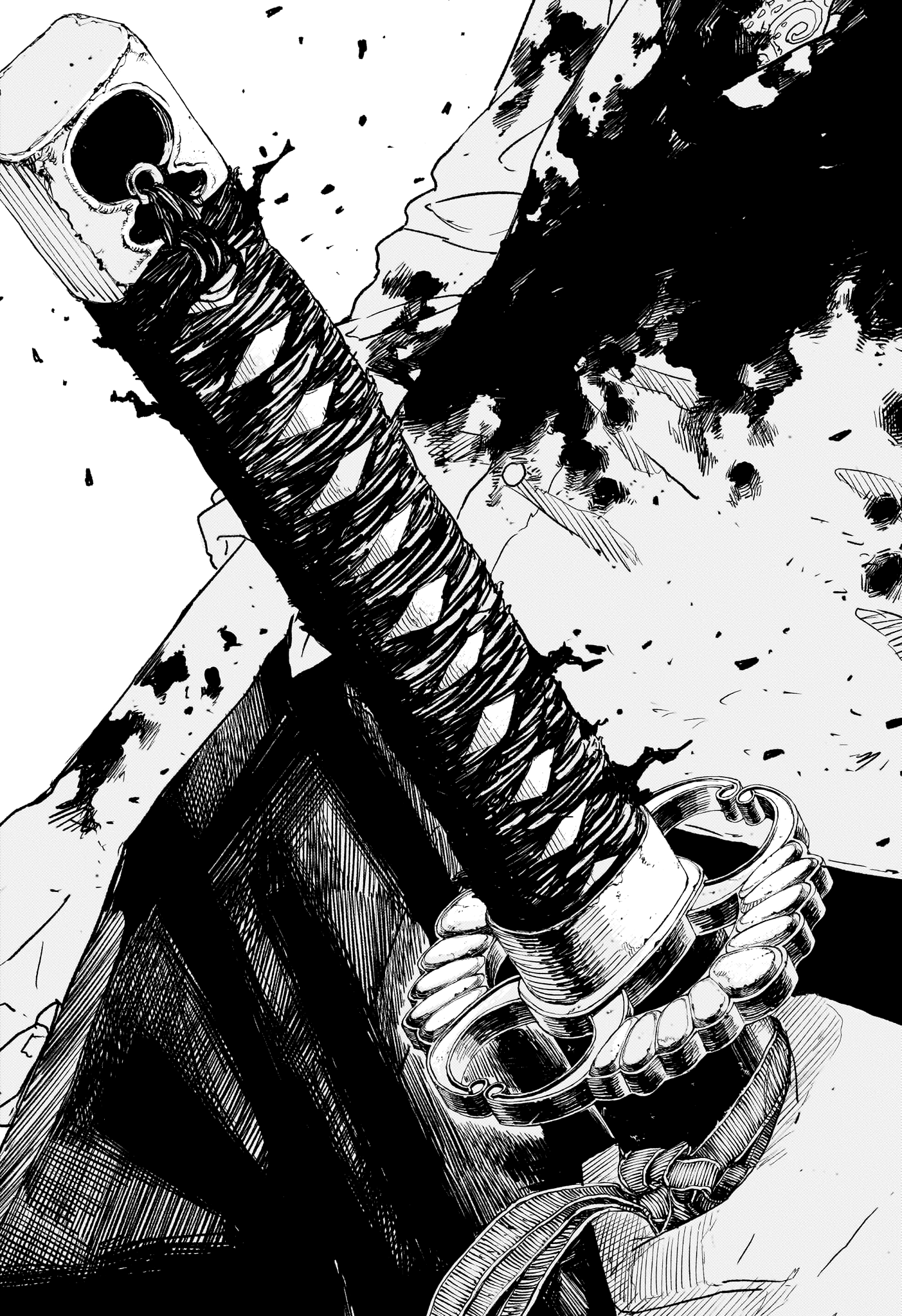Chapter Image 482