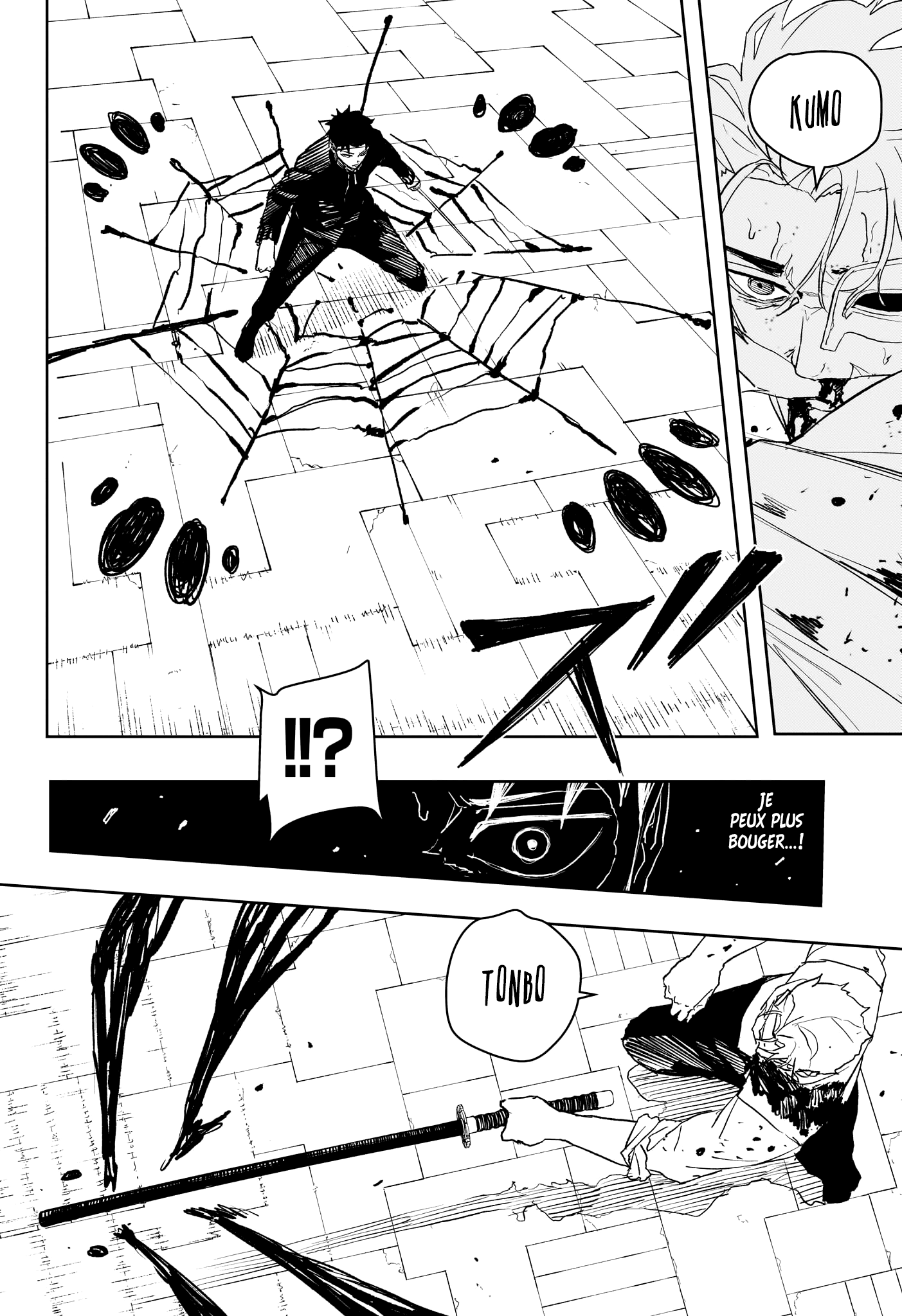 Chapter Image 260