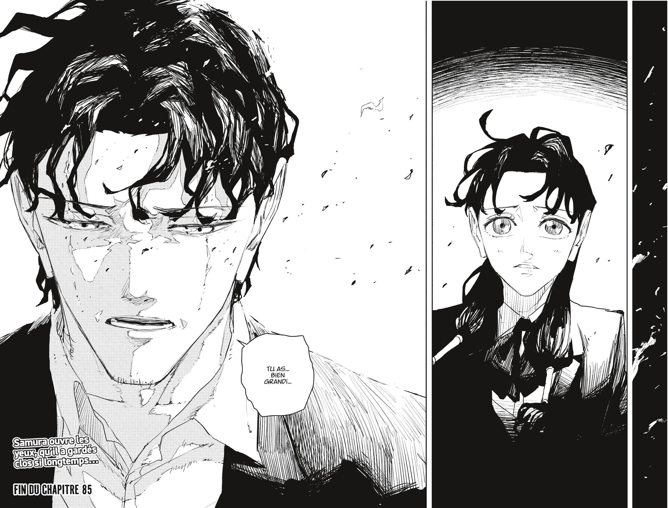 Chapter Image 556