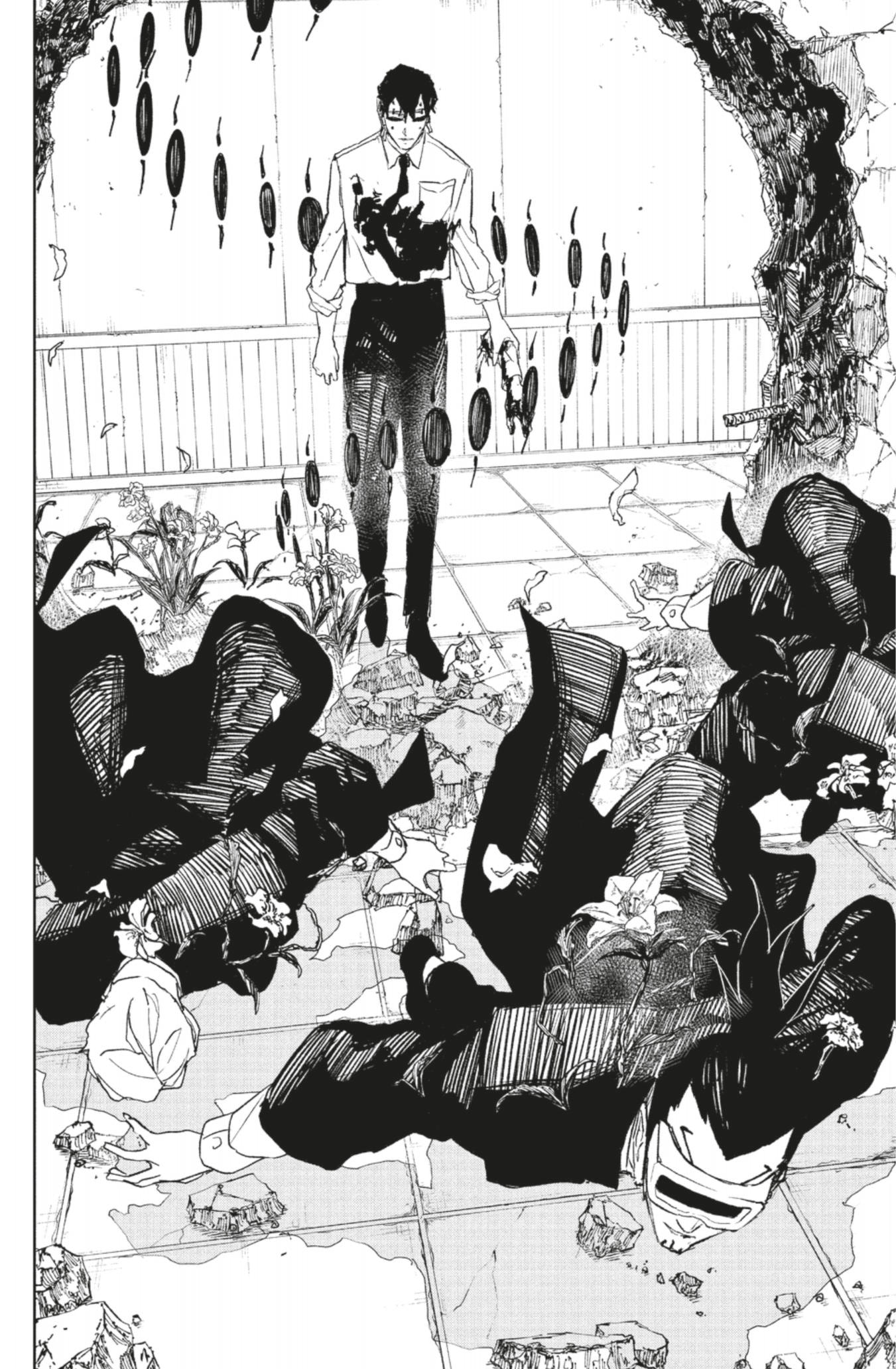 Chapter Image 482