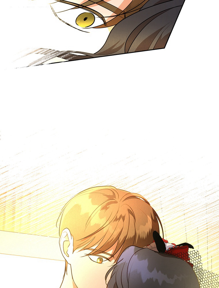 Chapter Image 482