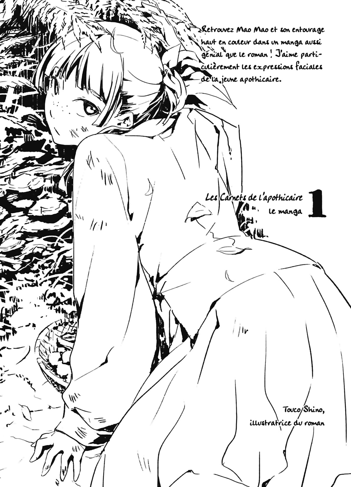 Chapter Image 667