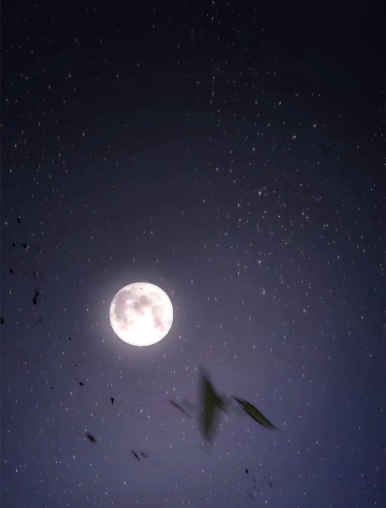 Chapter Image 556