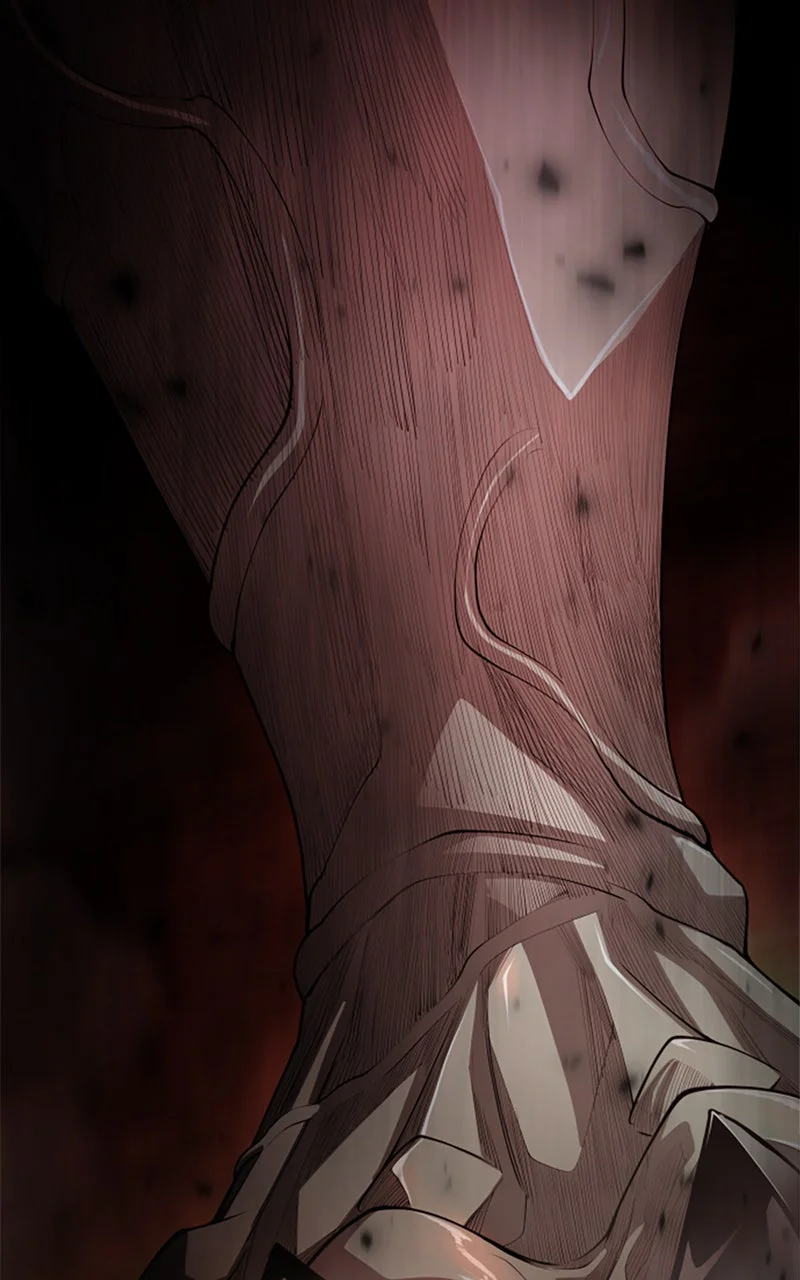 Chapter Image 408