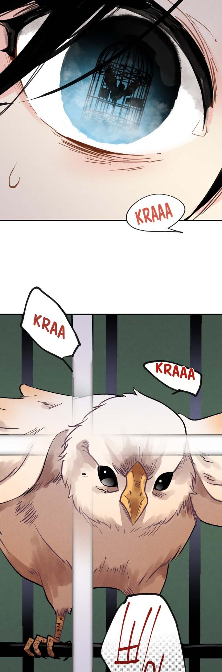 Chapter Image 371