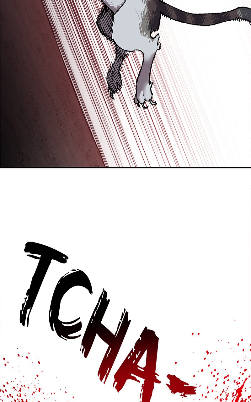 Chapter Image 75