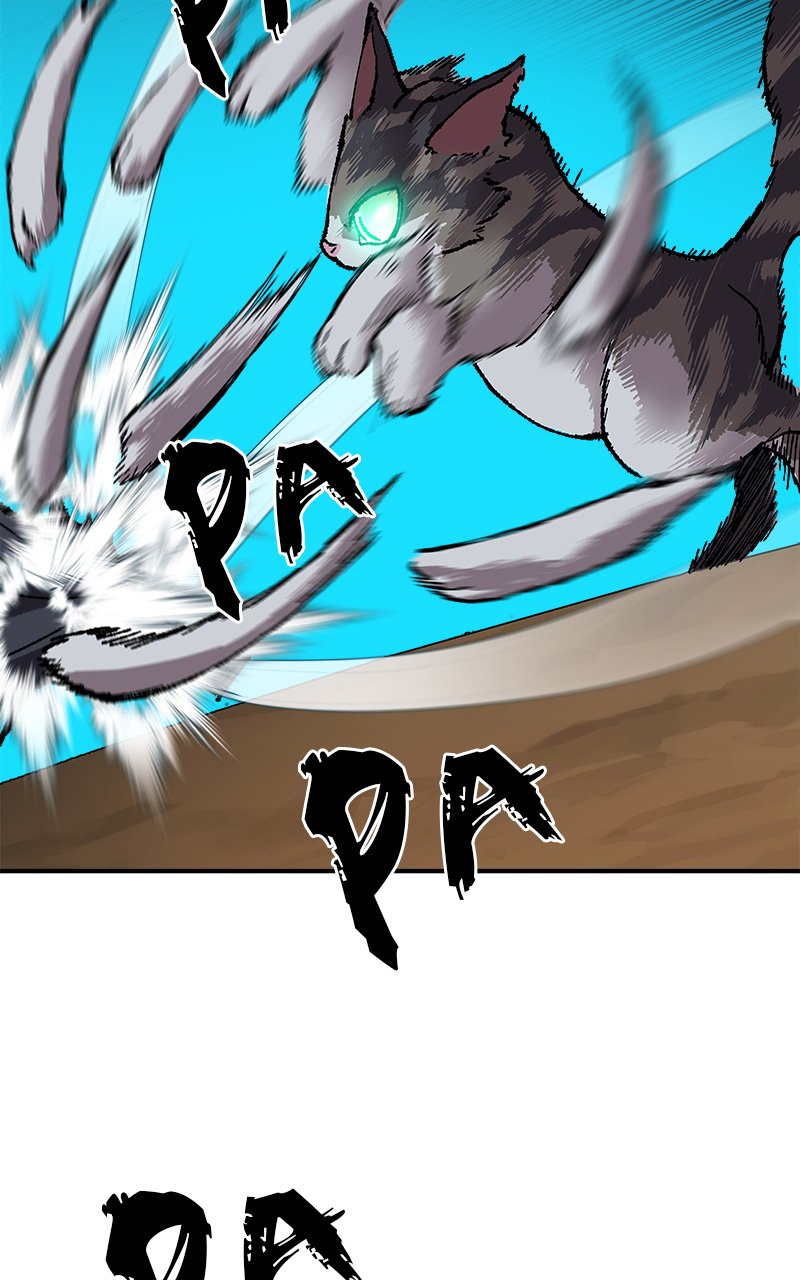 Chapter Image 704