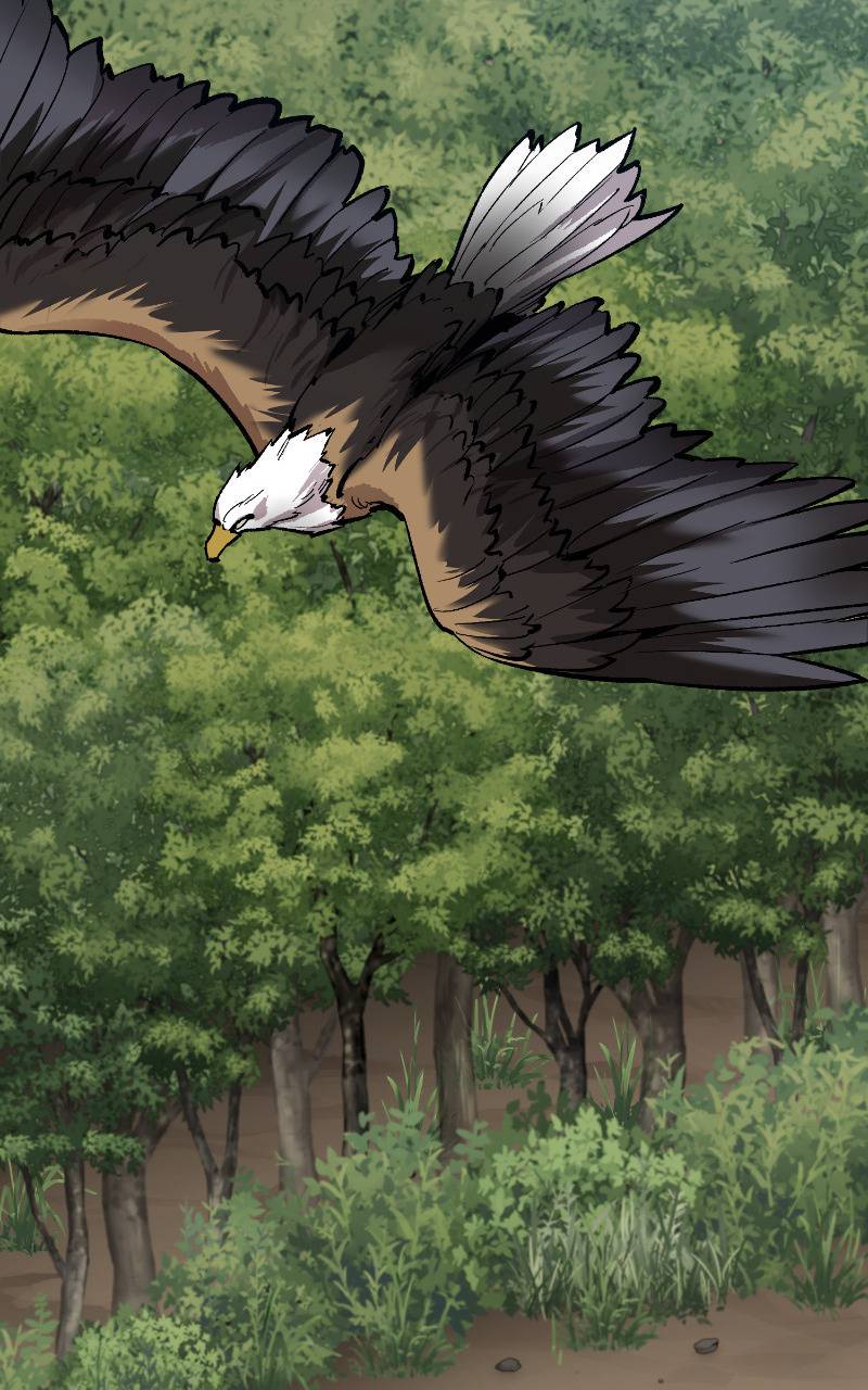 Chapter Image 556