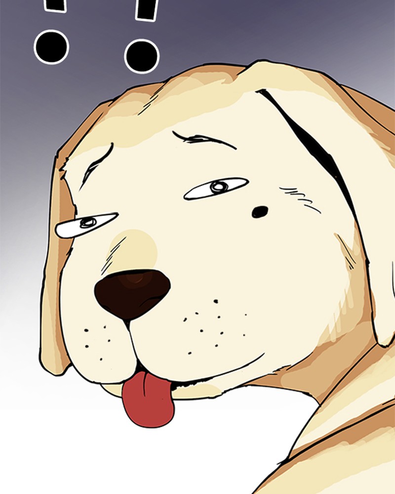 Chapter Image 741