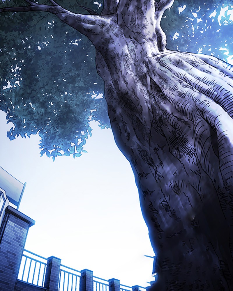 Chapter Image 704