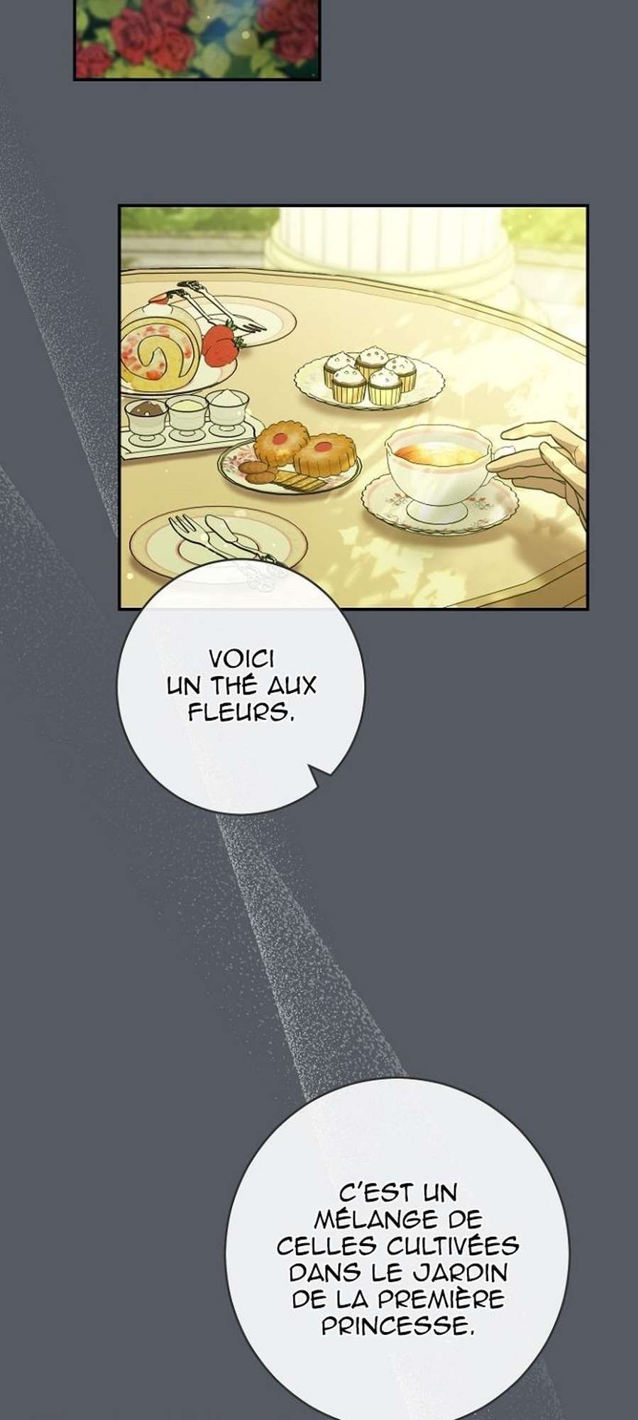 Chapter Image 556