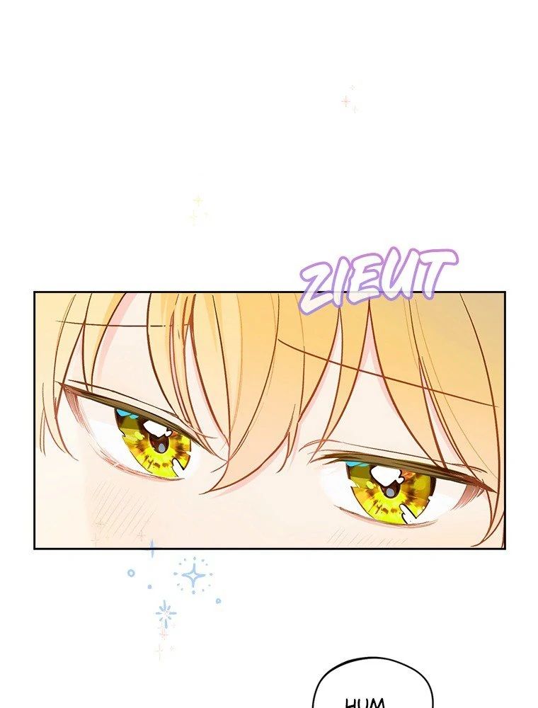 Chapter Image 704