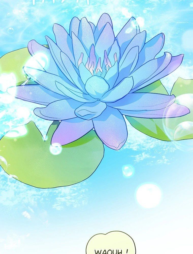 Chapter Image 852