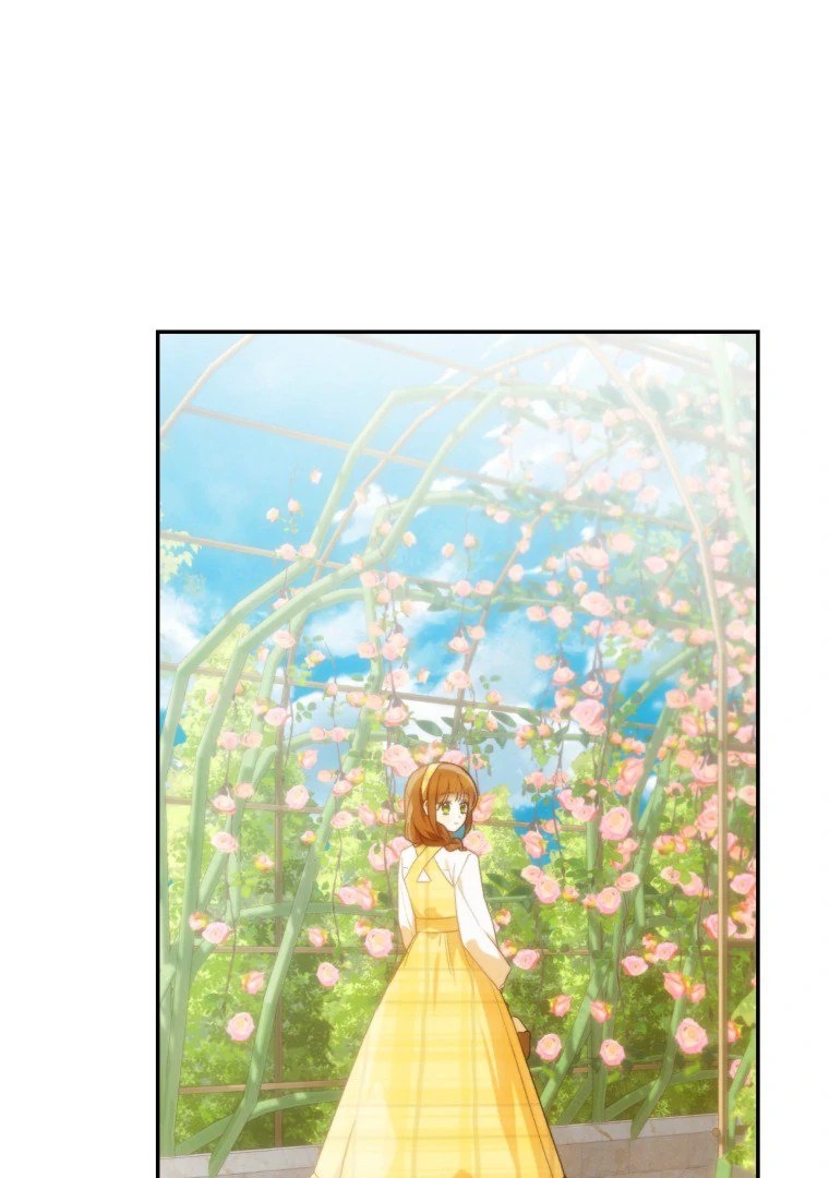 Chapter Image 926