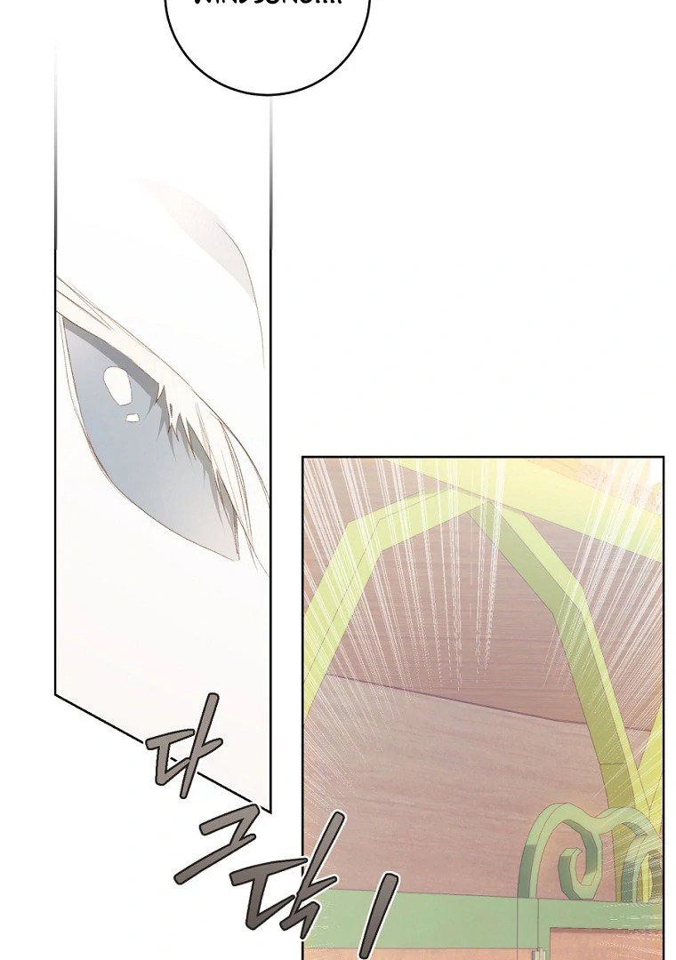Chapter Image 482