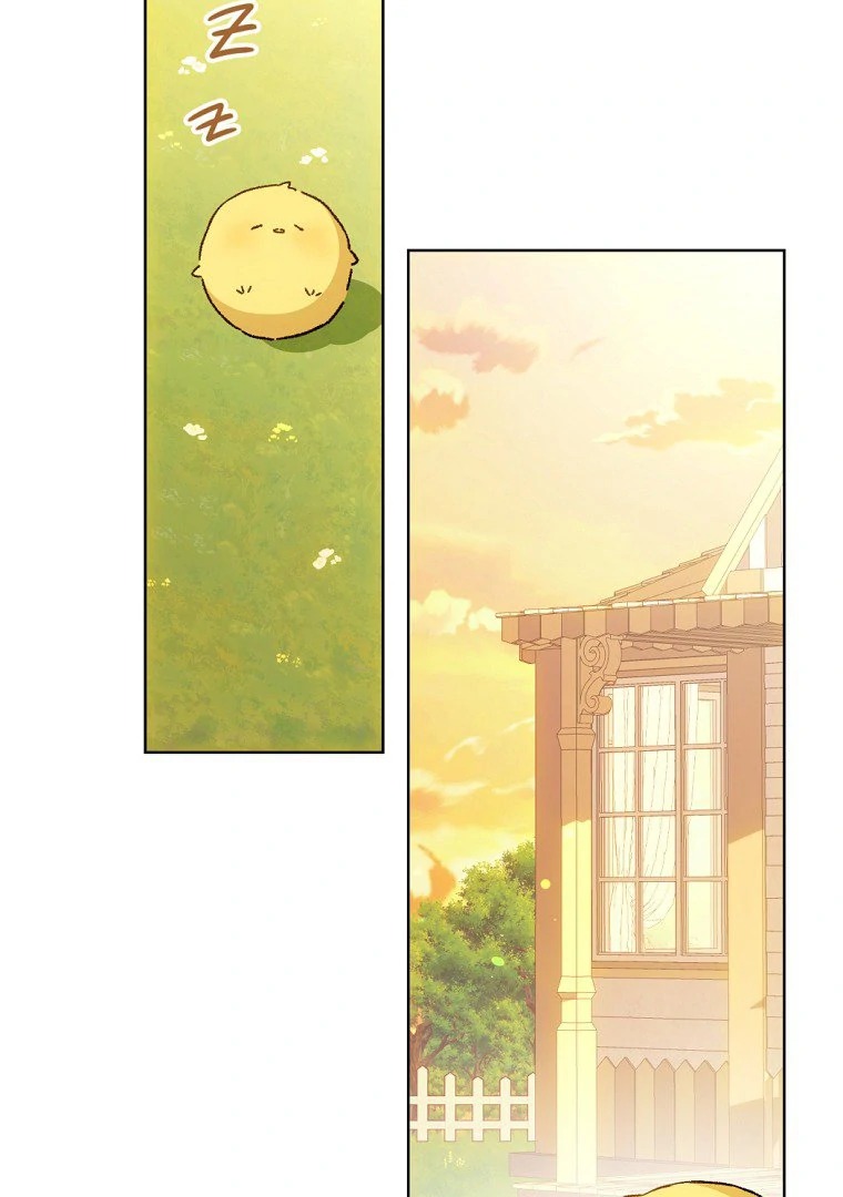 Chapter Image 223