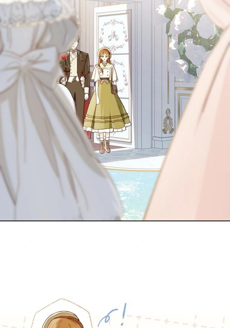 Chapter Image 704