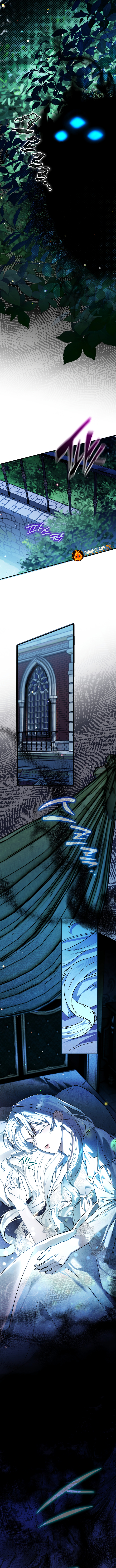 Chapter Image 556