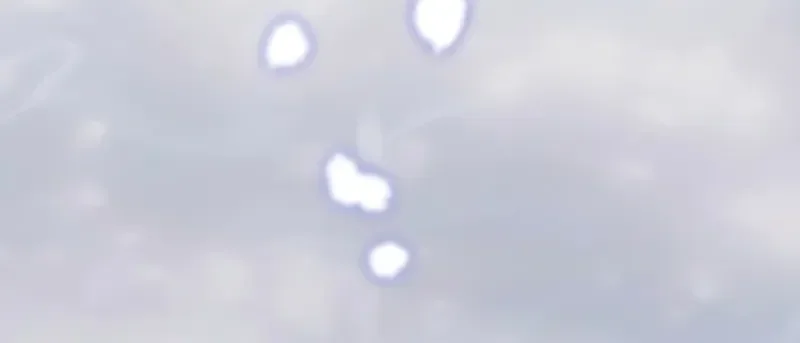 Chapter Image 186