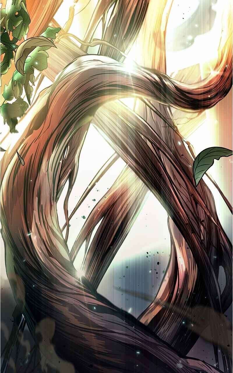 Chapter Image 186