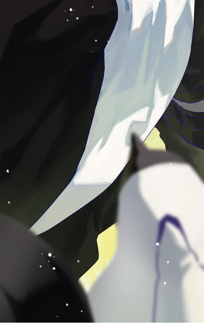 Chapter Image 667