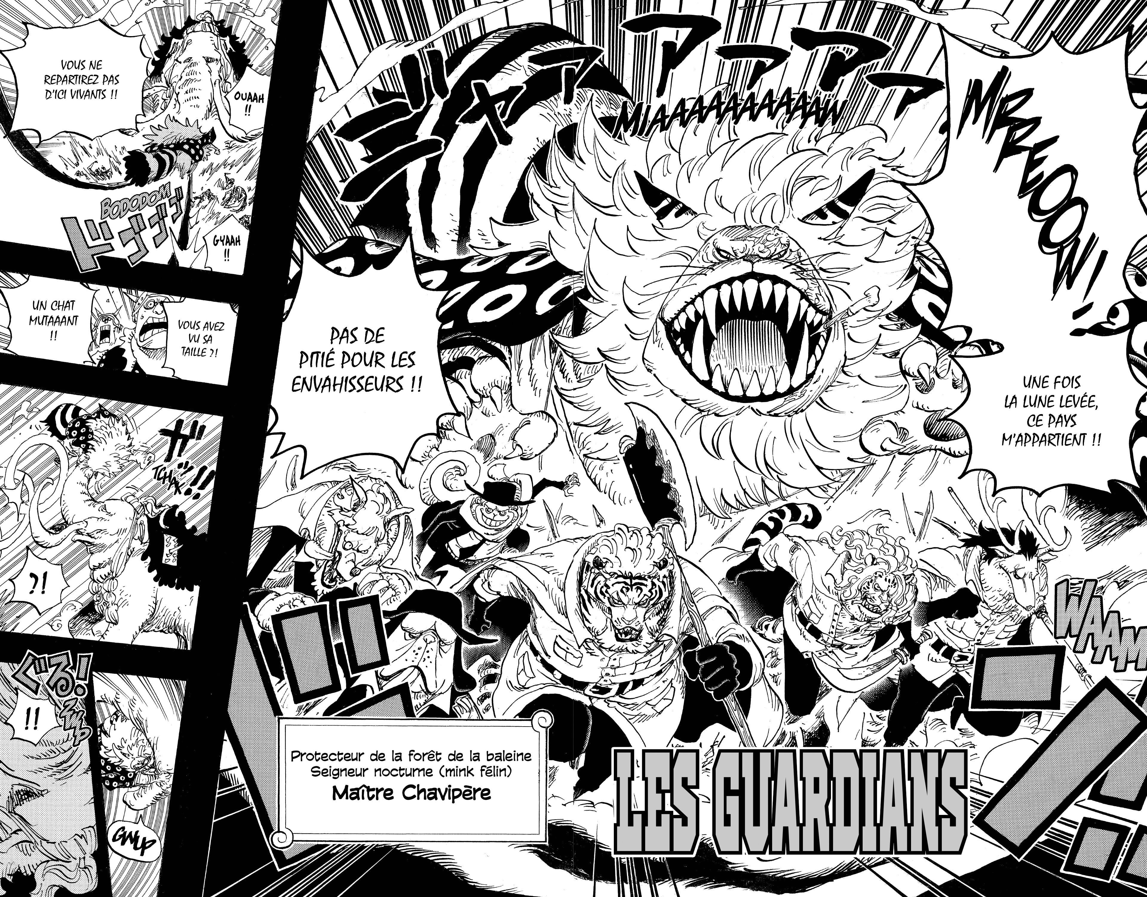 Chapter Image 482