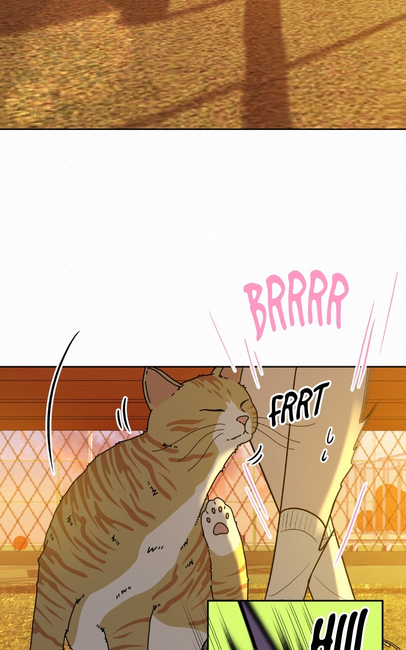 Chapter Image 963