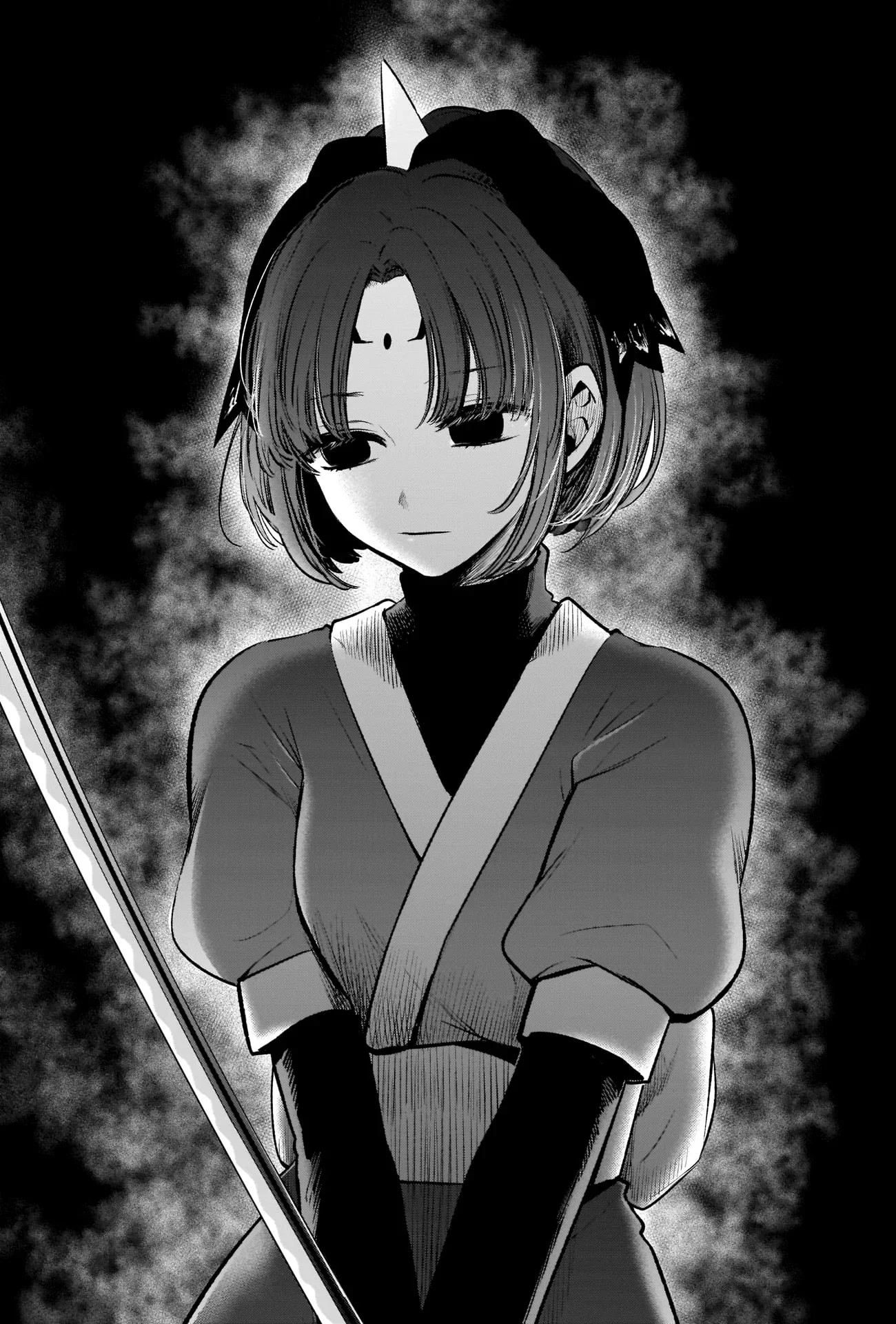 Chapter Image 260